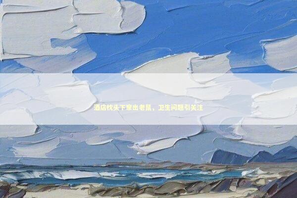 酒店枕头下窜出老鼠，卫生问题引关注