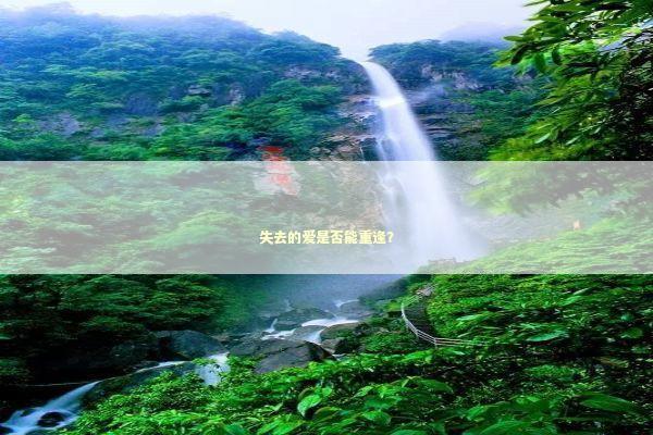失去的爱是否能重逢？