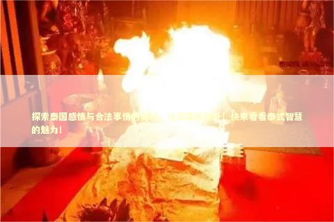 探索泰国感情与合法事情的奥秘，让你喜出望外！快来看看泰式智慧的魅力！