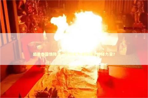 感激泰国情降油，它究竟为谁带来了神秘力量？